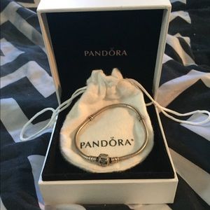 Pandora Charm Bracelet